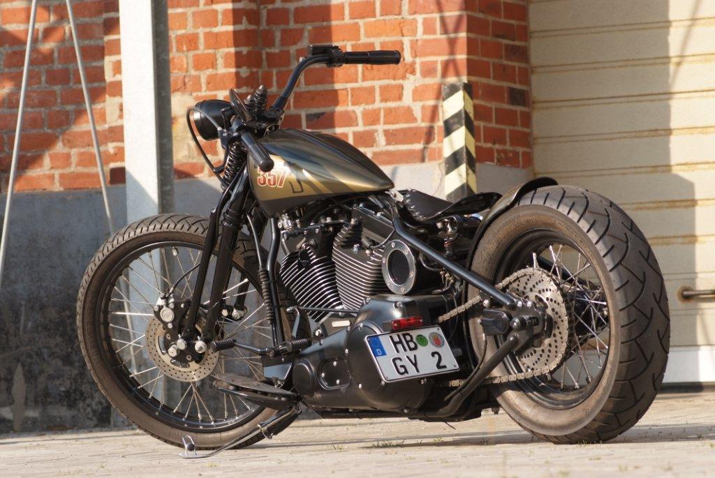 Harley Davidson-TGS-Hardtail Motorrad Fotos & Motorrad Bilder