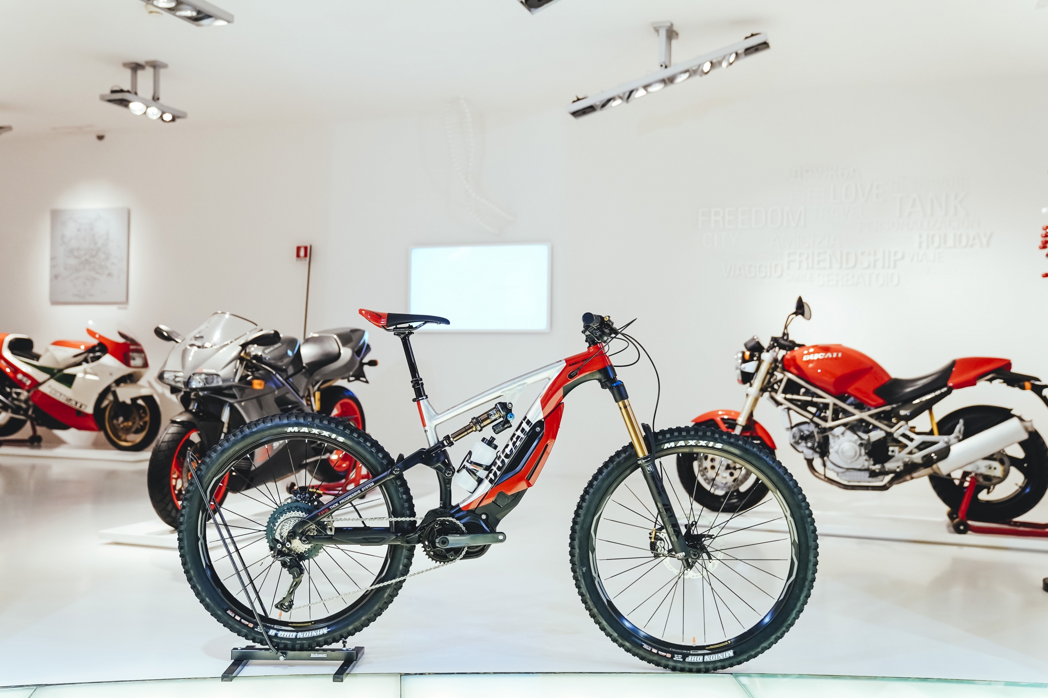 Ducati Mig RR Elektro Mountainbike Test Erfahrungen