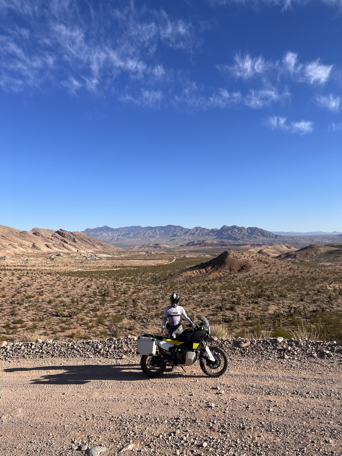 Mojave Desert - Bild 59