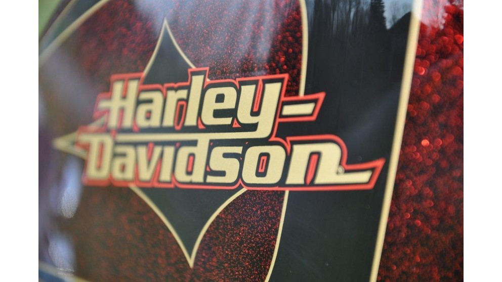 Harley-Davidson Sportster XL 1200 V Seventy-Two - Obrázek 19