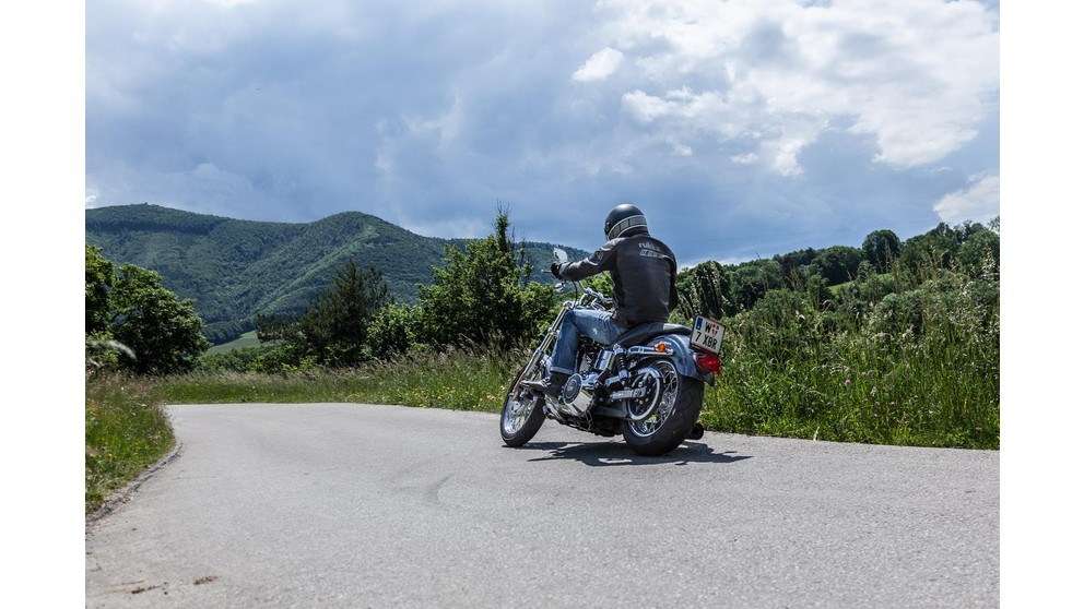 Harley-Davidson Dyna Low Rider FXDL - Obrázek 16
