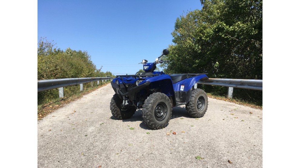 Picture Yamaha Grizzly 700 EPS