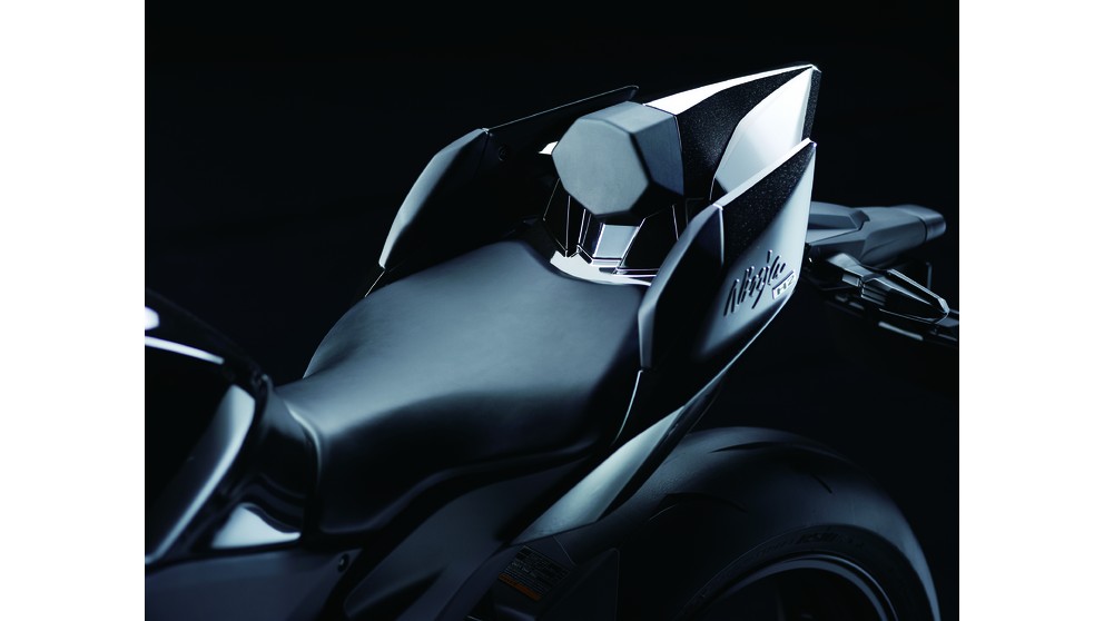 Kawasaki Ninja H2 Carbon - Immagine 8