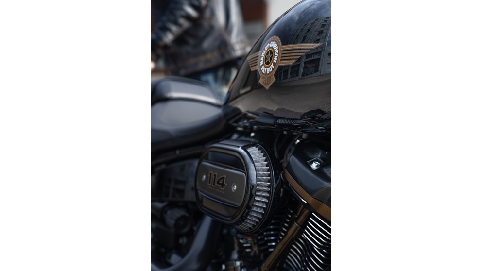 Harley-Davidson Fat Boy 30th Anniversary - Slika 11