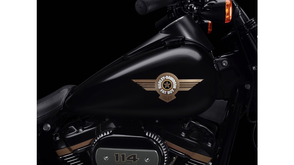 Harley-Davidson Fat Boy 30th Anniversary - Resim 10