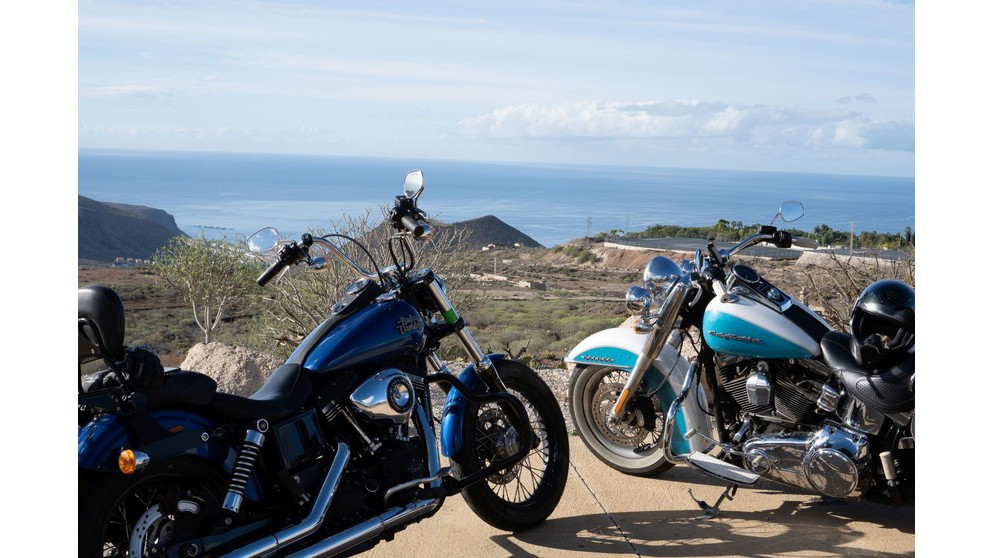 Harley-Davidson Softail Deluxe FLSTN - Bild 7