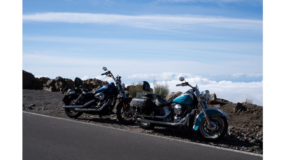 Harley-Davidson Softail Deluxe FLSTN - Bild 10