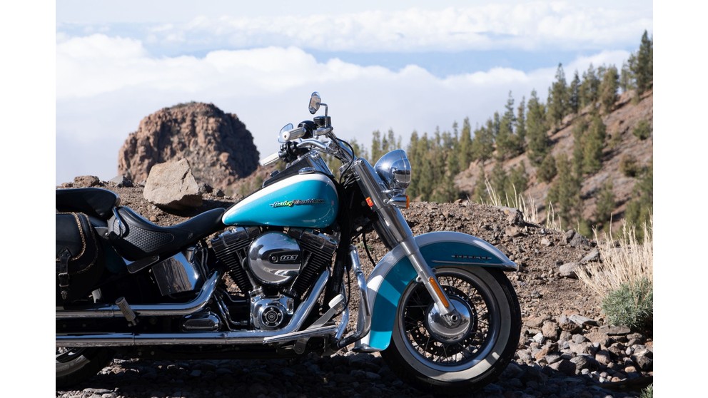 Harley-Davidson Softail Deluxe FLSTN - Image 14