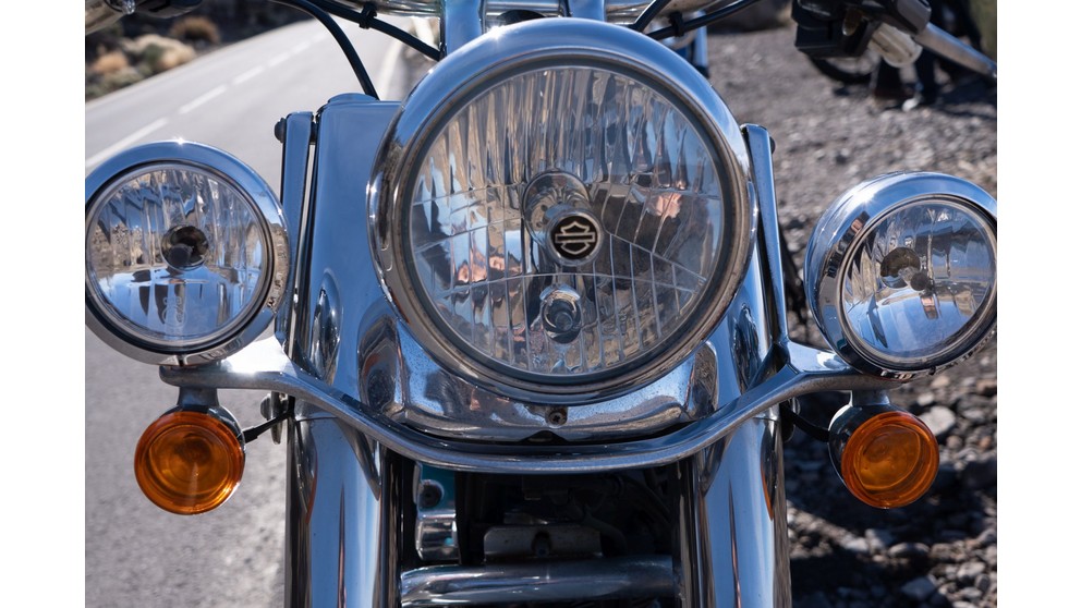Harley-Davidson Softail Deluxe FLSTN - Image 17