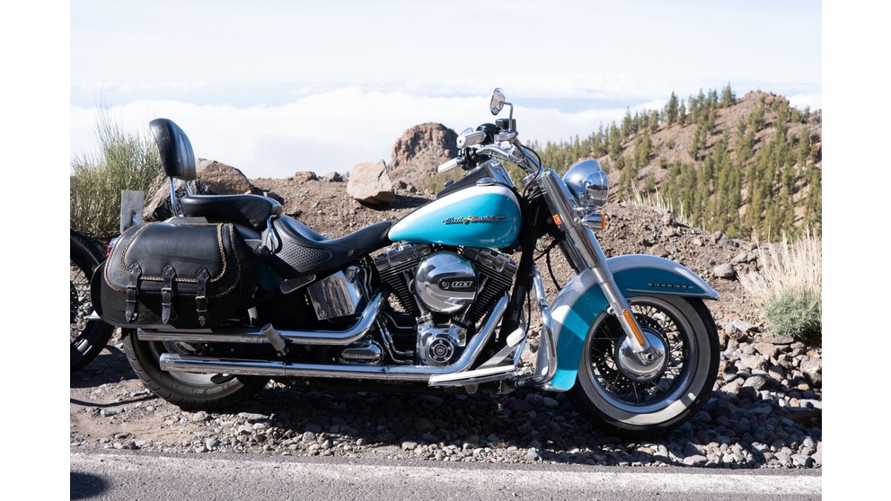 Harley-Davidson Softail Deluxe FLSTN - Image 19