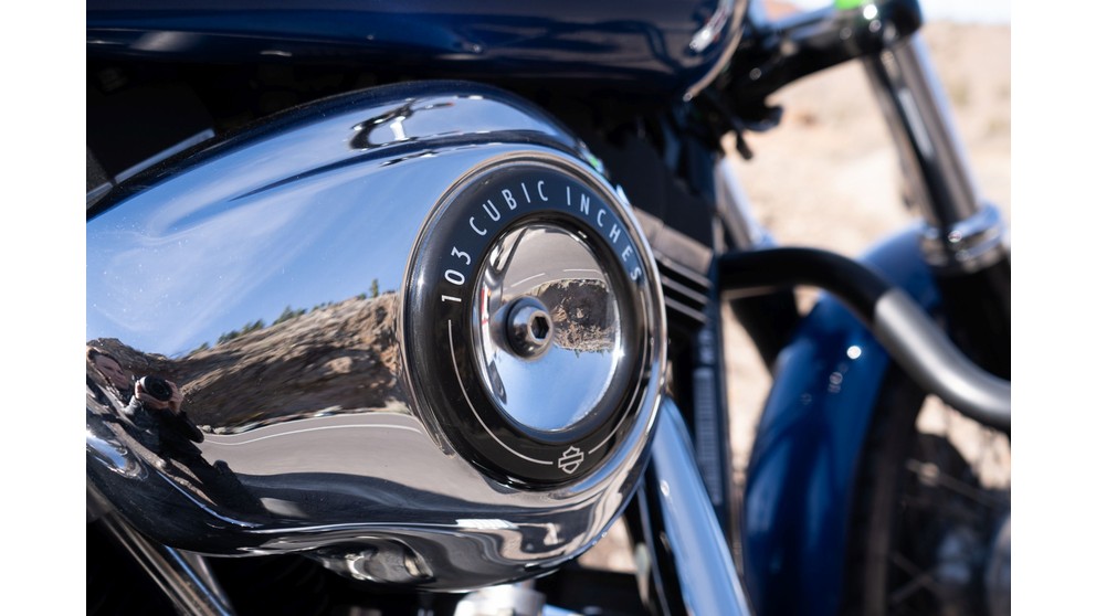 Harley-Davidson Softail Deluxe FLSTN - Image 23