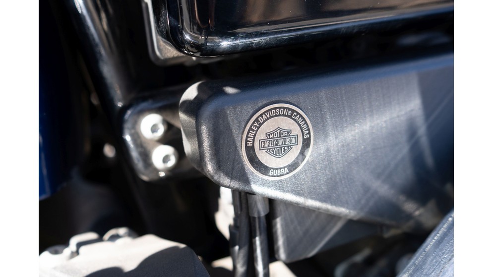 Harley-Davidson Softail Deluxe FLSTN - Image 24