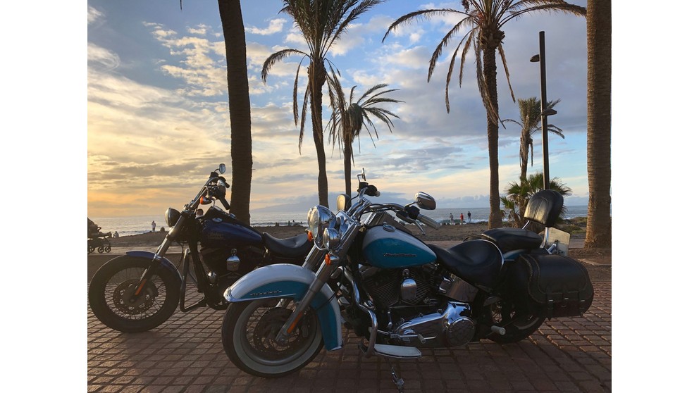 Harley-Davidson Softail Deluxe FLSTN - Kép 6