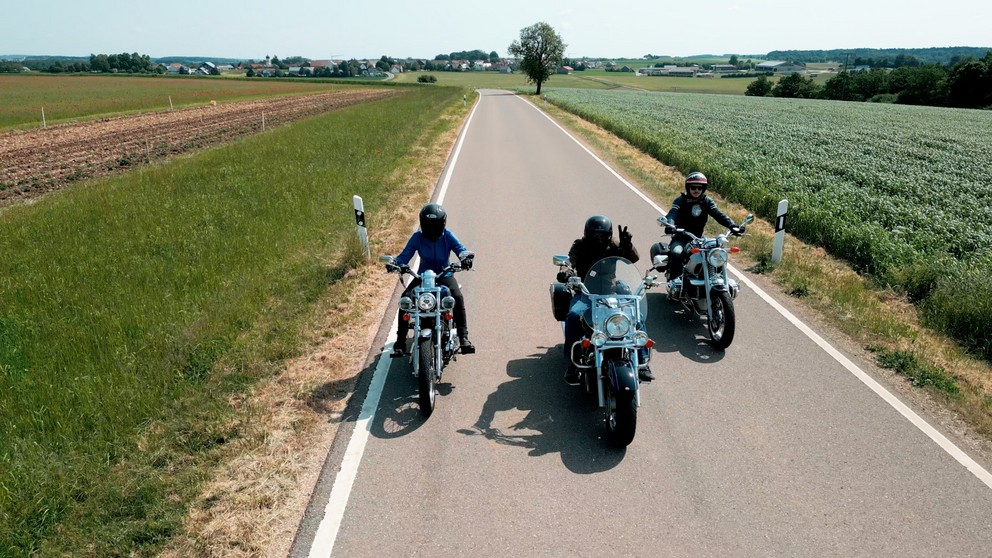 Harley-Davidson Sportster XL 1200C Custom - Image 14