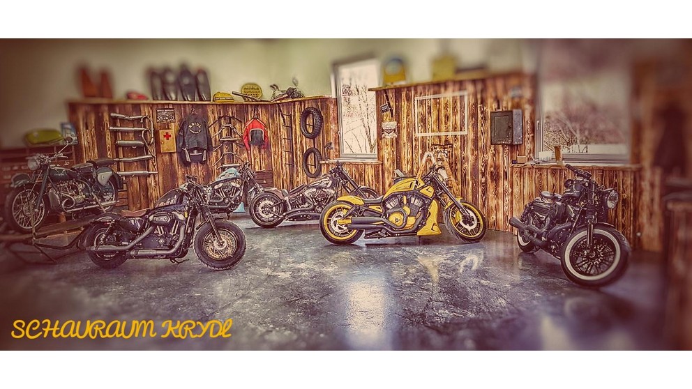 Harley-Davidson Night Rod Special VRSCDX - Bild 15