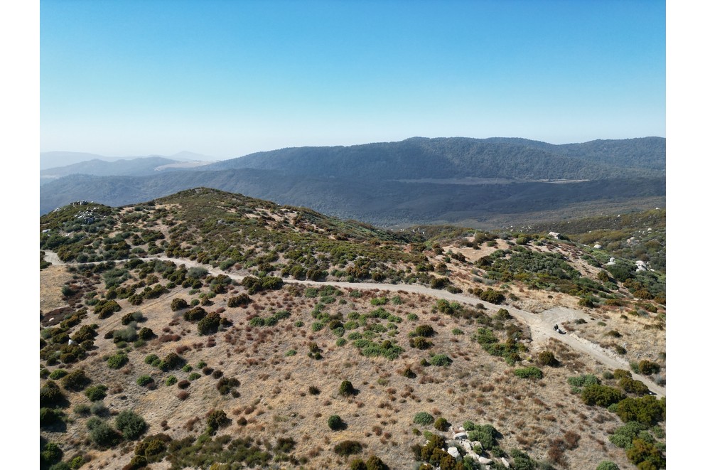 Palomar Mountains - Slika 9